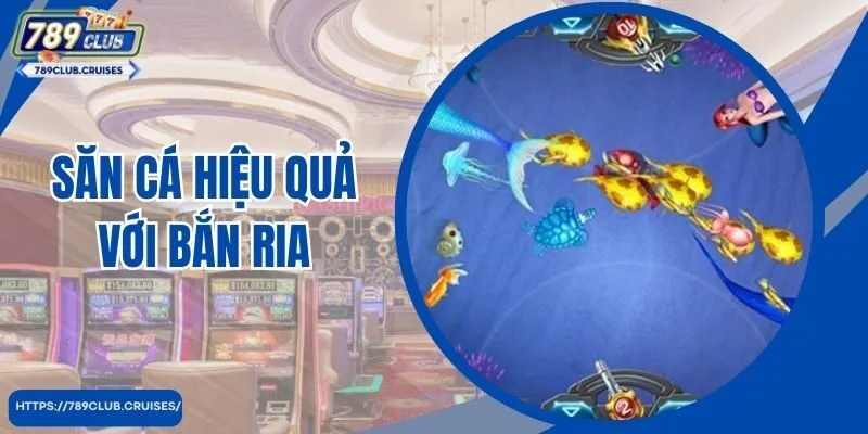 Săn cá hiệu quả với bắn ria