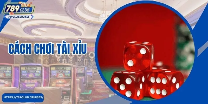 Cách Chơi Tài Xỉu Từ A - Z Cho Người Mới Từ Những Cao Thủ Đã Truyền Lại Hot Nhất 2024