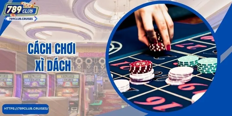 Bật Mí Cách Chơi Xì Dách Bách Phát Bách Trúng Cho Người Mới