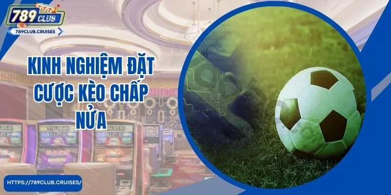 Kinh nghiệm đặt số tiền nửa trái hay từ cao thủ