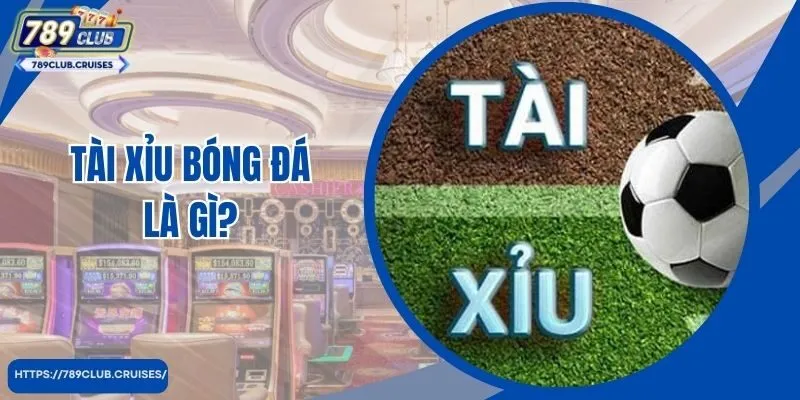 Tài Xỉu Bóng Đá Là Gì? Cách Đọc Kèo Chính Xác Bất Bại